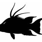 Hogfish Decal 10" x 7"