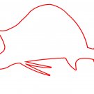 Sailfish Decal Red 24" x 10.5"