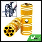 Golden Two Steel BMX Bike Bicycle 3/8" Axle Foot Pegs