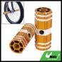 Bicycle Bike Stunt 3/8" Axle Aluminum Foot Pegs Golden for BMX