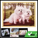Counted Cross Stitch Cross-Stitch Kit A Couple of Dogs
