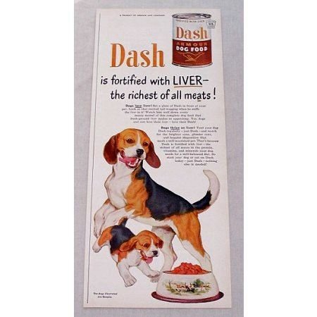 1950 Armour Dash Dog Food Beagles Color Print Ad