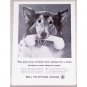 1961 Bell Telephone Systems Dog Animal Vintage Print Ad - Phone For A Bone