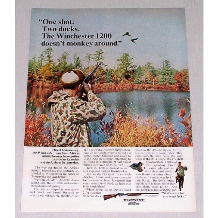 1965 Winchester Model 1200 Shotgun Color Print Ad