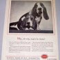 1957 Fire Underwriters Capitol Stock Insurance Beagles Dogs Animal Print Ad