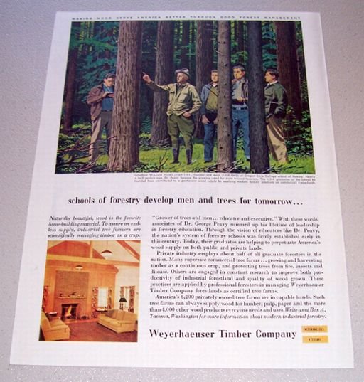 1955 Weyerhaeuser Timber Comany Color Art Print Ad George Peavy