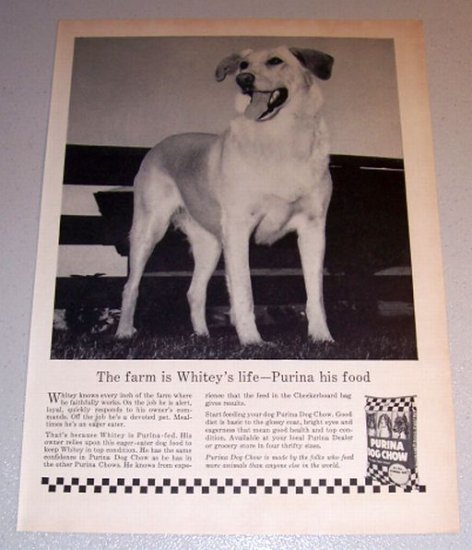 1959 Print Ad Purina Dog Chow