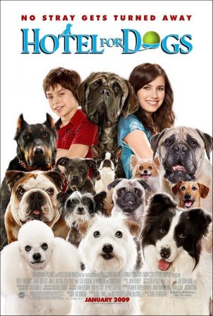 Hotel for dogs