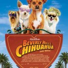 beverly hill chihuahua