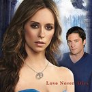 Ghost Whisperer Season 04