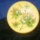 Majolica plate