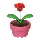 solar craft (swaying flower)