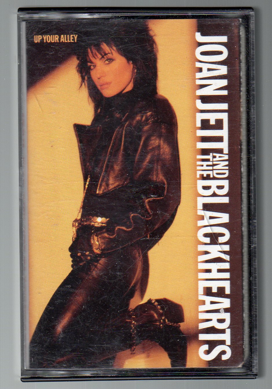 joan jett i hate myself for loving you lyrics