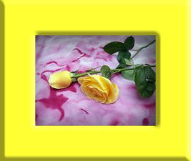 Rose shea butter/olive oil soap 5.00 oz.