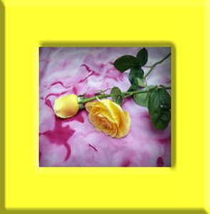 Rose Shea cream 2 oz.