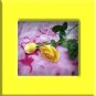 Rose Shea cream 2 oz.