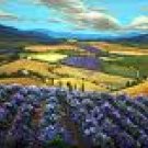 Lavender Shea butter cream 2 oz.