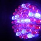 Acne Blue 415  & Red 660 Light Therapy Bulb FREE SHIPPING