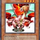 Element Dragon (For use in Yugioh Online 2 ONLY)