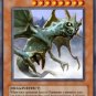 Phantom Dragon (For use in Yugioh Online 2 ONLY)