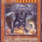 Dark Simorgh (For use in Yugioh Online 2 ONLY)