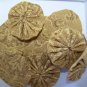 Golden Paisley Yo-Yo's - Quantity 10