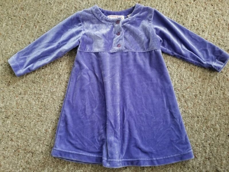 LORD & TAYLOR Growing Up Purple Velour Long Sleeved Dress Girls Size 2T