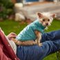 NEW Frisco Packable Insulated Dog Quilted Puffer Coat Ocean Teal XL