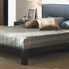 Celesta Modern Style Brown Leather Platform Bed