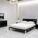 Lily Modern Queen Size Bedgroup Set in Black  Color