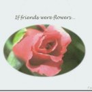#M4U0153 Red Rose Friendship Greeting Card