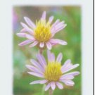 #M4U0277 Lavender Flowers Thinking of You Greeting Card