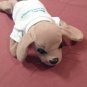 Vintage National City Beanie Bankers Babies Puppy Dog
