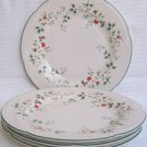 Pfaltzgraff Winterberry Plates pleasuresntreasures