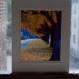 Color photograph