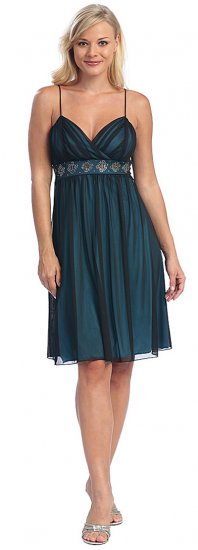 biba party wear gown