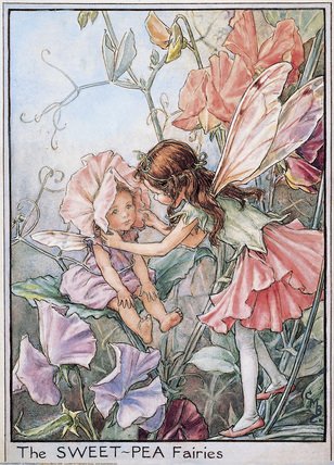 FLOWER FAIRIES CROSS STITCH KITS-