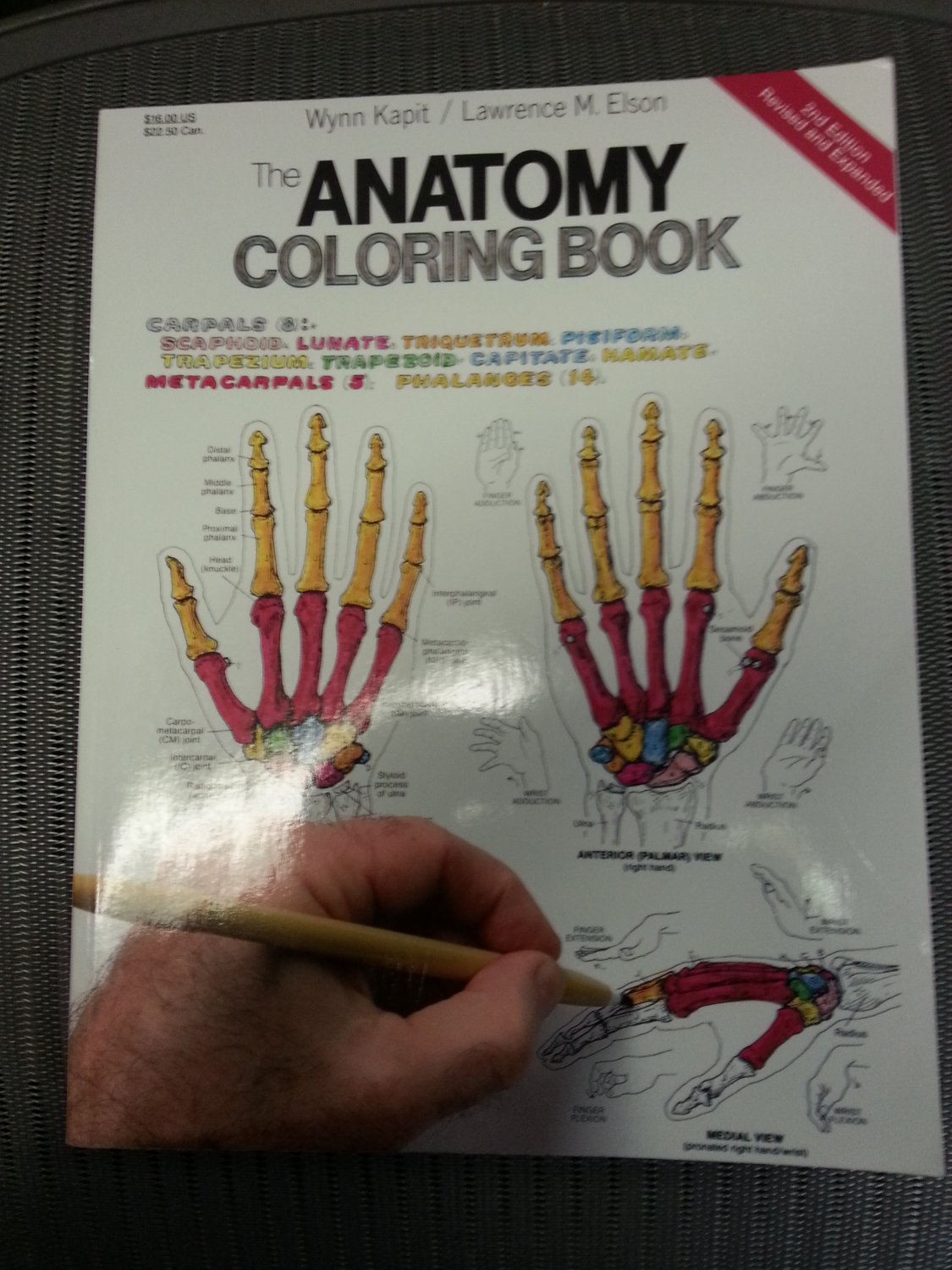 The Anatomy Coloring Book 2nd Ed by Wynn KapitUnique learning tool