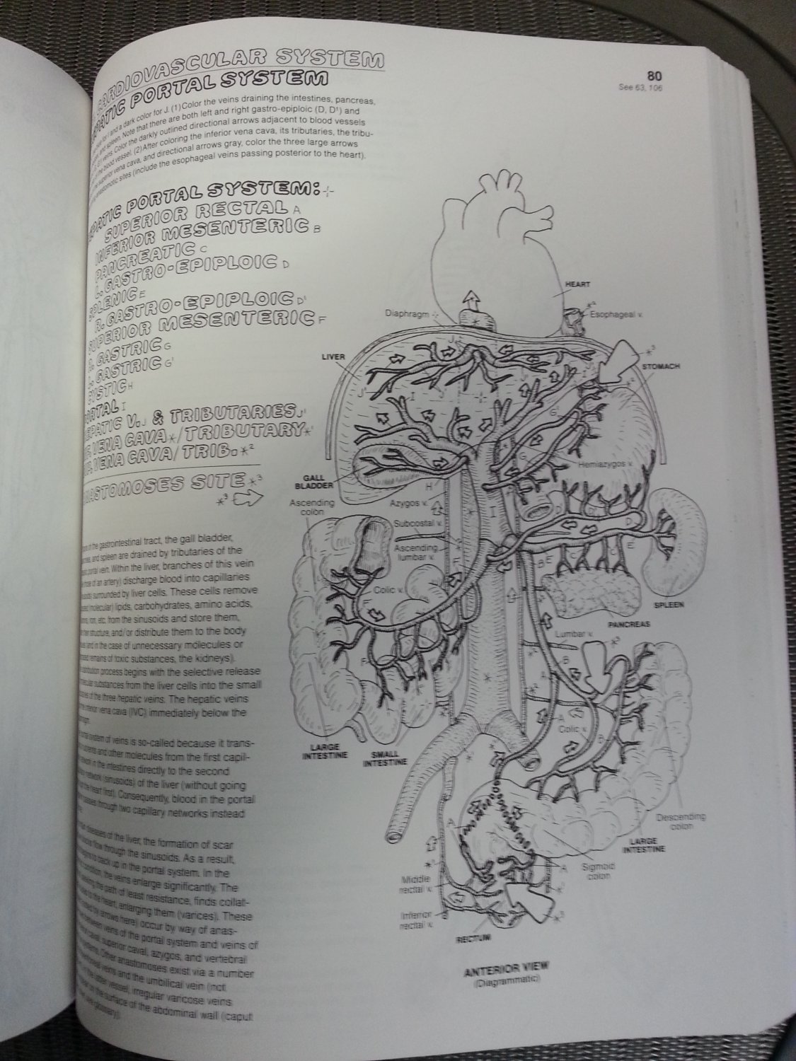 The Anatomy Coloring Book 2nd Ed by Wynn KapitUnique learning tool