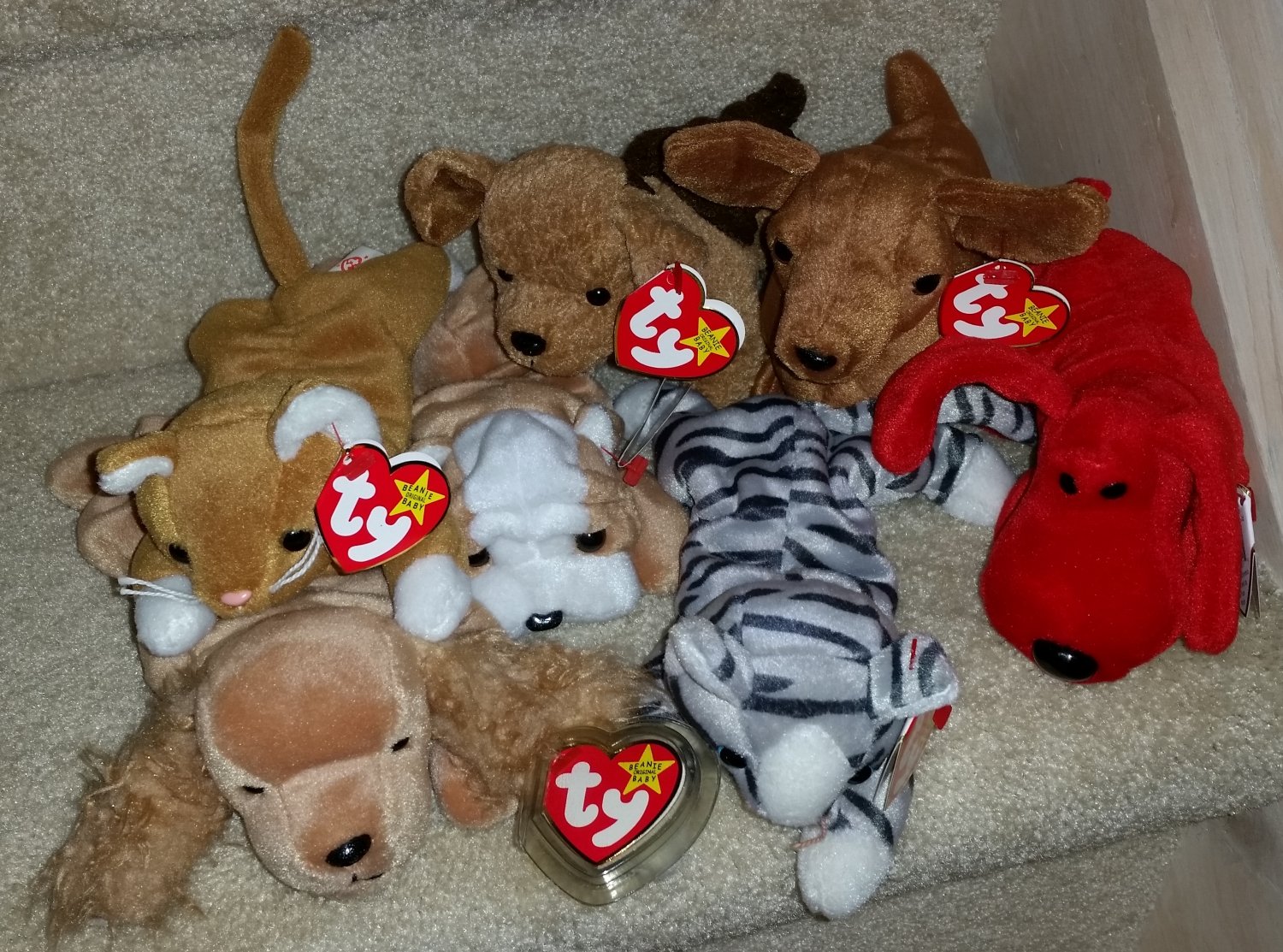 TY BEANIE BABIES - RETIRED - LOT of 7 DOG & CAT BEANIES #2 - NEW WITH TAGS!