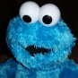 fisher price tmx cookie monster