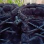 Sperry Saltwater Quilted Faux Fur Duck Boots - Black - Size 7.5 - NEW!