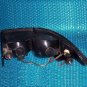 Dodge Intrepid 1993 Drivers side tail light LH    Stk#(1587)
