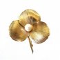 Vintage Winard 12k Gold Fill & Pearl Flower Brooch Pin