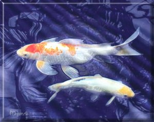 2 BLUE KOI  (24 x 30)