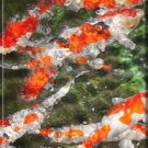 ABSTRACT ORANGE KOI