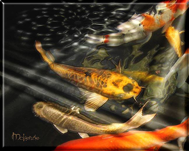 KOI FRENZY #2 (DIPTYCH)