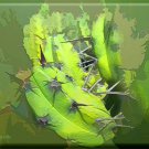 Abstract Green Cactus ART ORIGINAL MCKENZIE PAINTING