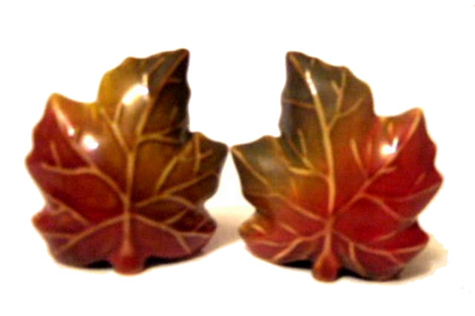 Autumn Leaves Salt Pepper Shakers Fall Decor