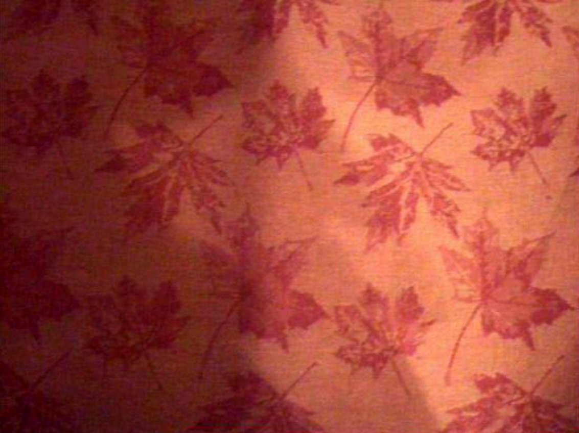 Autumn Leaves Fabric Placemats